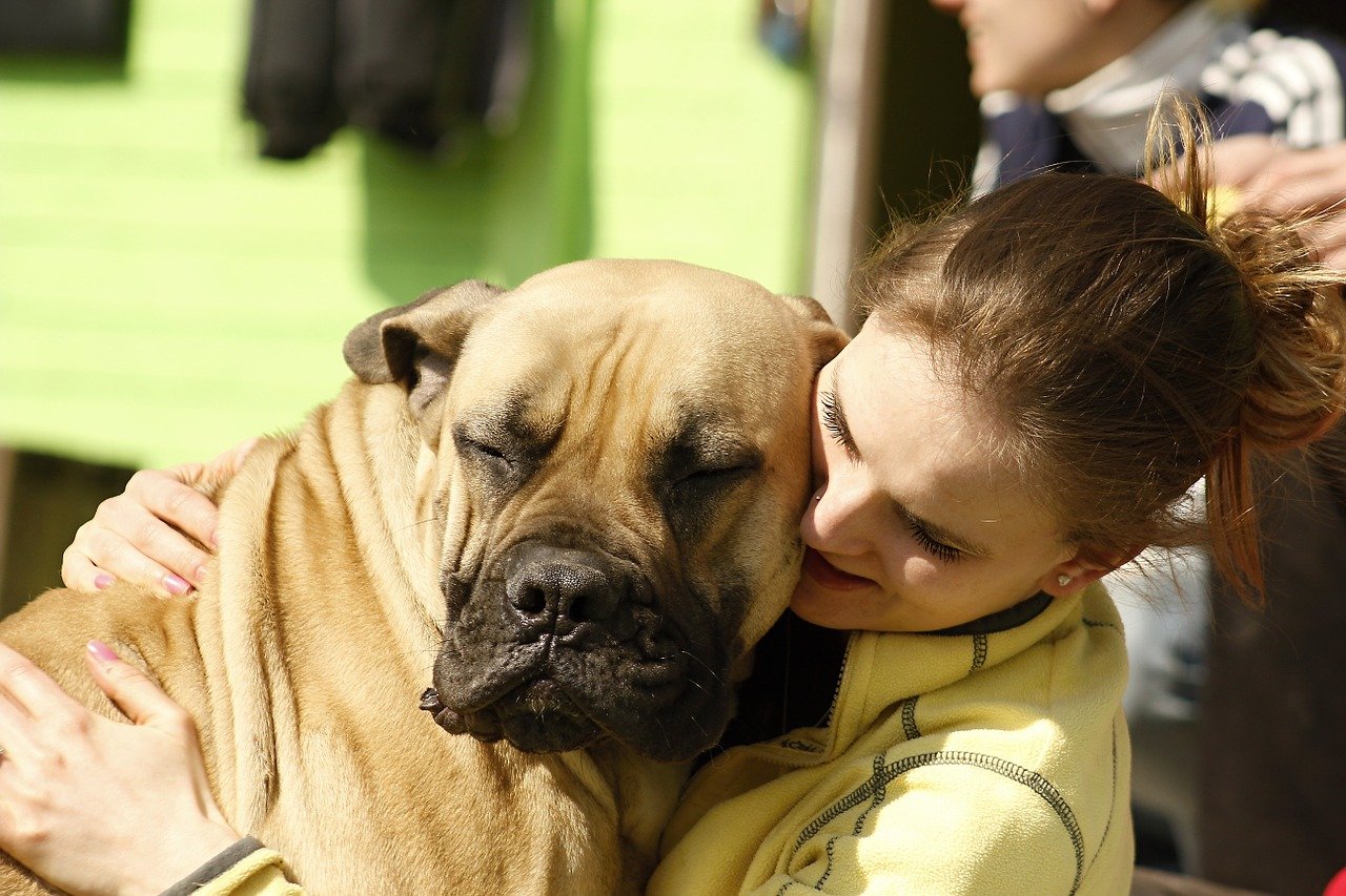 dog, girl, bordeaux